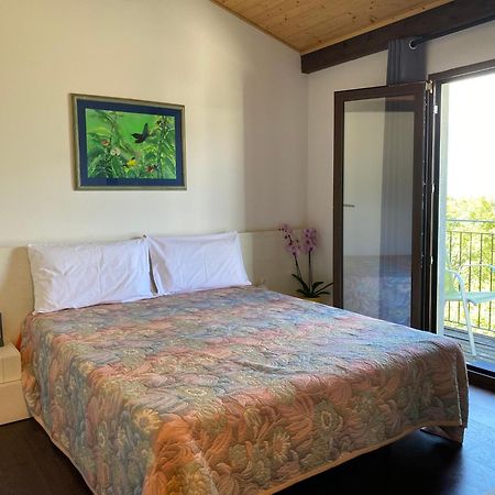 Gambarogno Viva Bacco Bed & Breakfast エクステリア 写真