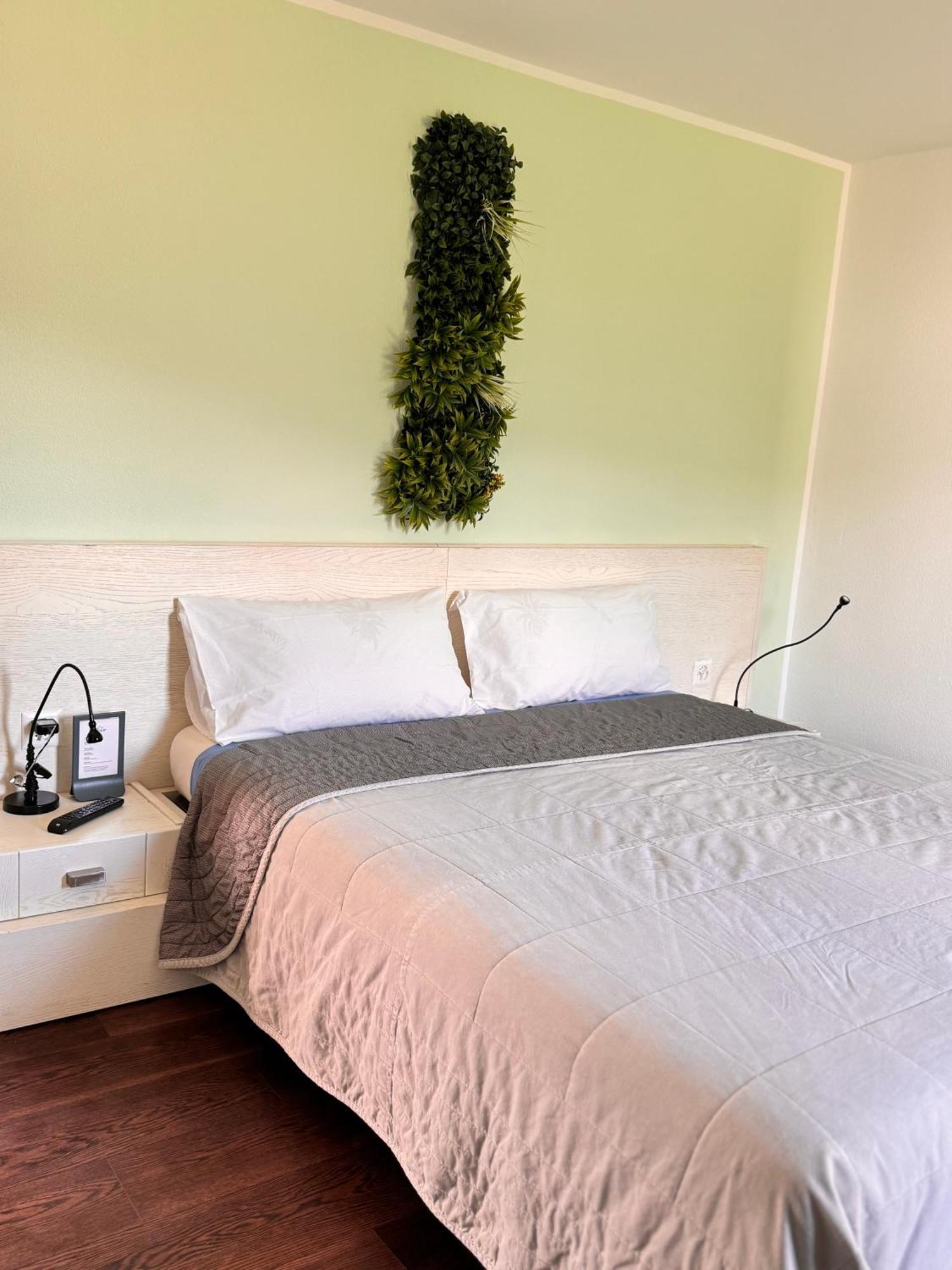 Gambarogno Viva Bacco Bed & Breakfast エクステリア 写真