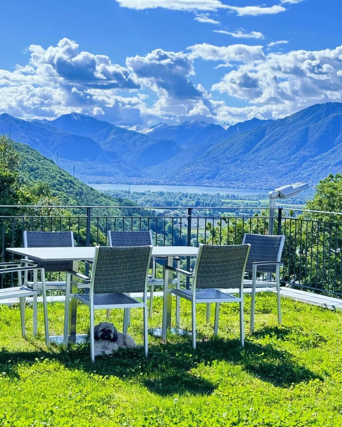 Gambarogno Viva Bacco Bed & Breakfast エクステリア 写真