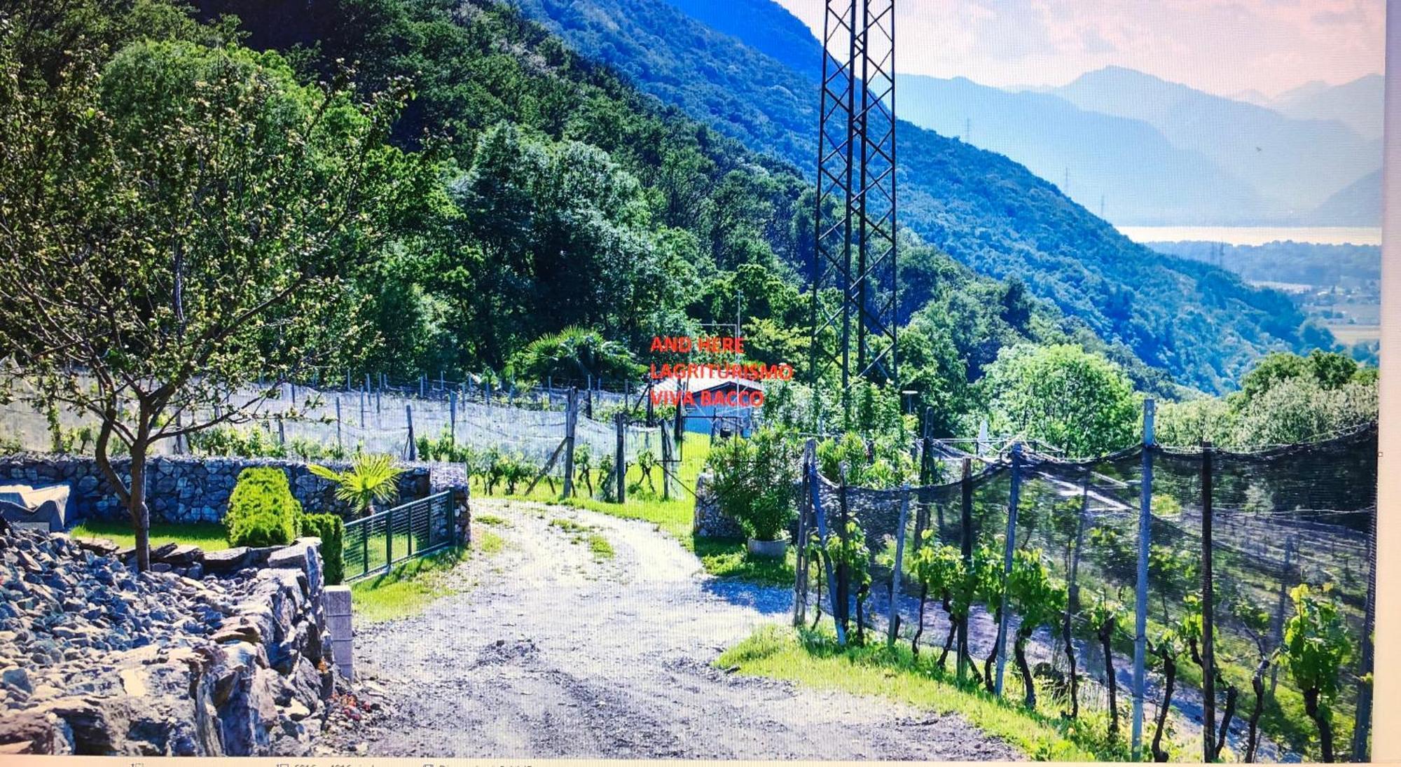 Gambarogno Viva Bacco Bed & Breakfast エクステリア 写真