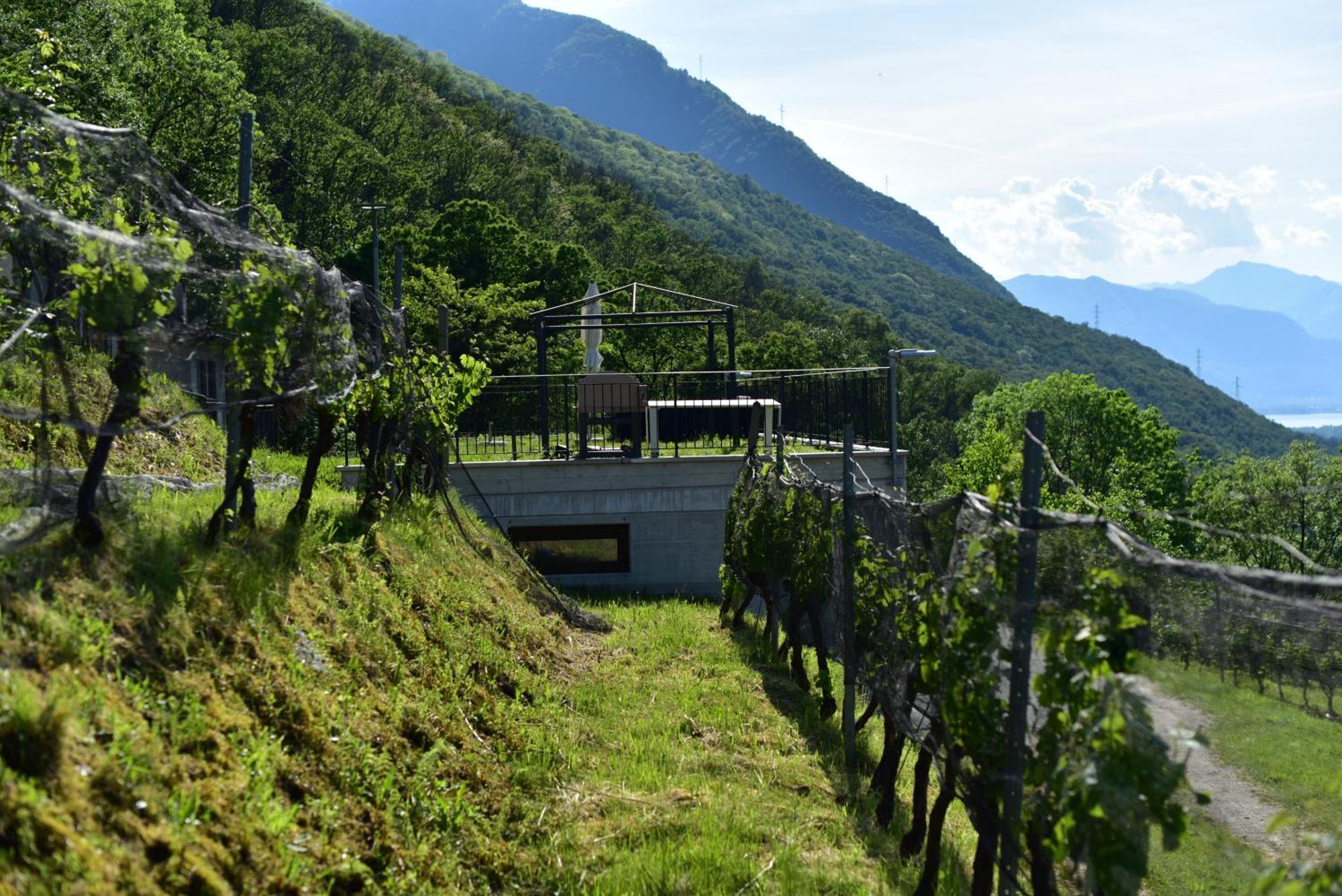 Gambarogno Viva Bacco Bed & Breakfast エクステリア 写真