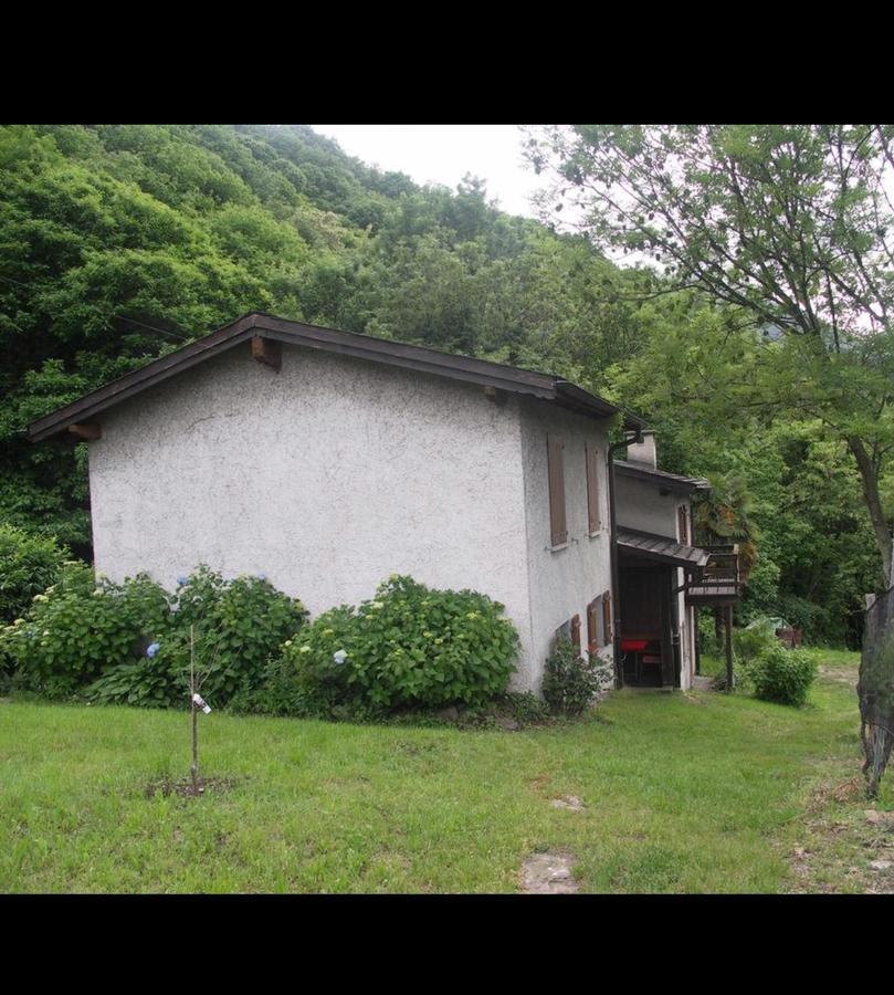 Gambarogno Viva Bacco Bed & Breakfast エクステリア 写真